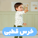 خرس قطبی
